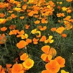 IMG_0928 IMG_0928
