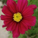 IMG_0947 IMG_0947