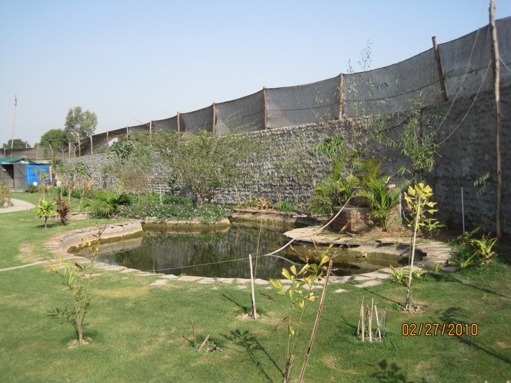 IMG_1004 IMG_1004