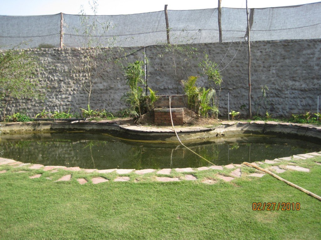 IMG_1005 IMG_1005